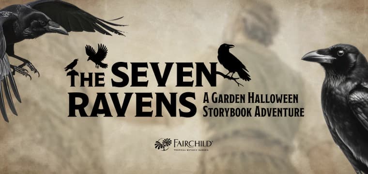 Ravens Mystery Event, Coral Gables