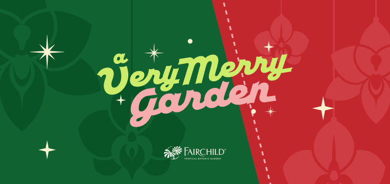 Holiday Celebration at Fairchild, Coral Gables
