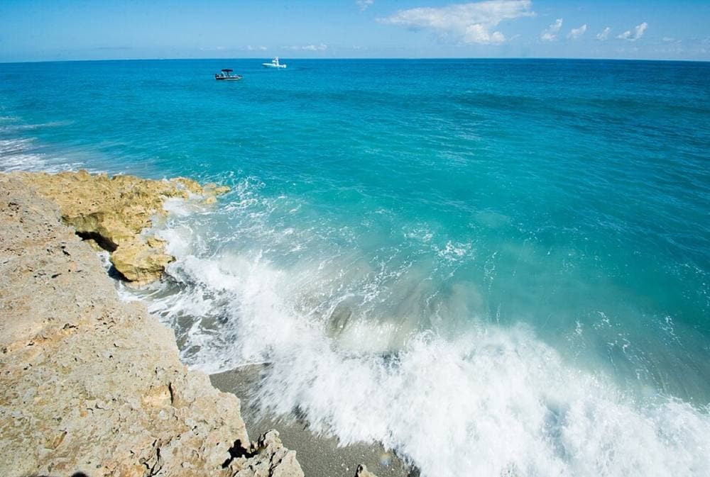 apasciuto · CC BY 2.0 · https://commons.wikimedia.org/wiki/File:Blowing_Rocks_Nature_Preserve_-_40421530891.jpg Blowing Rocks Preserve, Jupiter Island