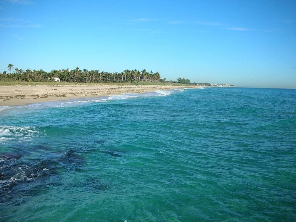 Dominic Sherony · CC BY-SA 2.0 · https://commons.wikimedia.org/wiki/File:Boynton_Beach_Inlet_(3484228410).jpg Boynton Beach shallow reefs, Boynton Beach