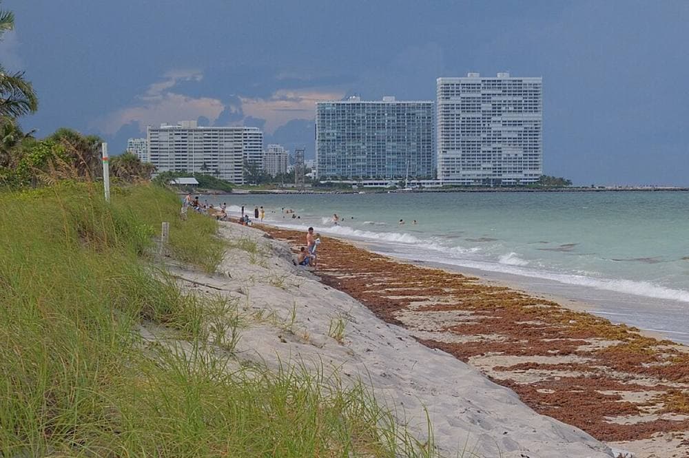 Harry Somers from Miami, Florida, USA · CC BY 2.0 · https://commons.wikimedia.org/wiki/File:Fort_Lauderdale_FL_Skyline_Photo_from_Did_you_mean_von_mises_Search_Results_Web_results_Dr._Von_D._Mizell-Eula_Johnson_State_Park_in_Dania_Beach,_Florida_(50009014268).jpg Dr. Von D. Mizell-Eula Johnson State Park, Dania Beach