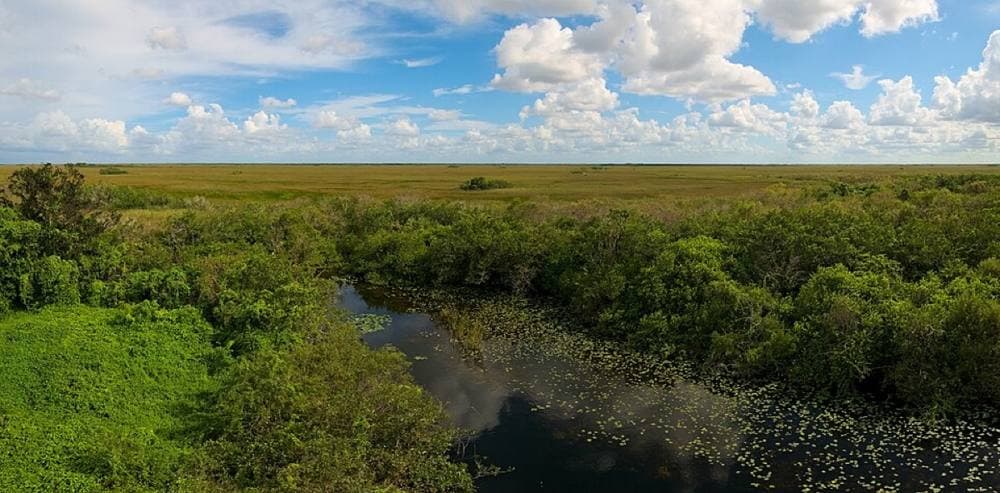 Daniel Kraft · CC BY-SA 3.0 · https://commons.wikimedia.org/wiki/File:Shark_Valley_Observation_Tower_Panorama.jpg Everglades NP — Shark Valley, Tamiami Trail, 25 mi west of Miami