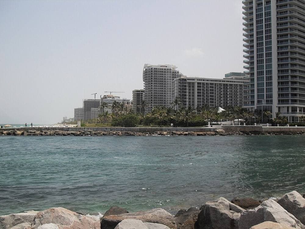 Elmschrat · CC BY-SA 3.0 · https://commons.wikimedia.org/wiki/File:Haulover-park-12.JPG Haulover Bark Park & dog beach, Bal Harbour