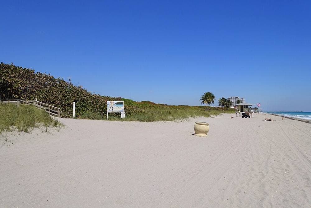 Daderot · CC0 · https://commons.wikimedia.org/wiki/File:Dog_Beach_-_Hollywood,_Florida_-_DSC08787.jpg Hollywood Dog Beach, Hollywood (North Beach Park)