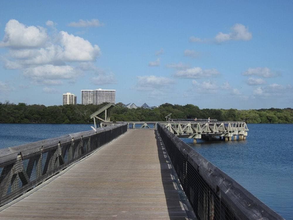 Dougtone · CC BY-SA 2.0 · https://commons.wikimedia.org/wiki/File:John_D._MacArthur_Beach_State_Park_-_Riviera_Beach,_Florida_-_7020821791.jpg John D. MacArthur Beach State Park, Singer Island