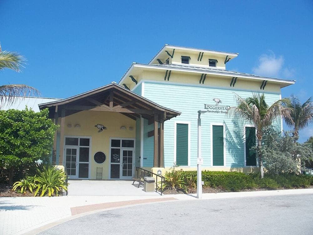 Ebyabe · CC BY-SA 3.0 · https://commons.wikimedia.org/wiki/File:Juno_Beach_FL_Loggerhead_Marinelife_Center01.jpg Loggerhead Marinelife Center, Juno Beach