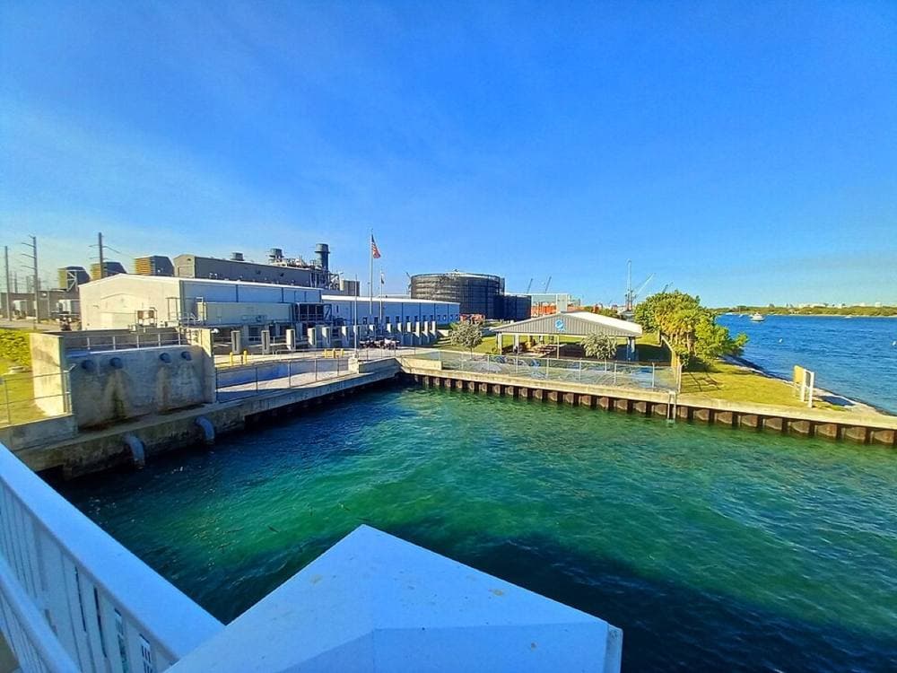 FunctioningMemberOfSociety · CC BY 4.0 · https://commons.wikimedia.org/wiki/File:Manatee_Lagoon,_West_Palm_Beach.jpg Manatee Lagoon, Riviera Beach