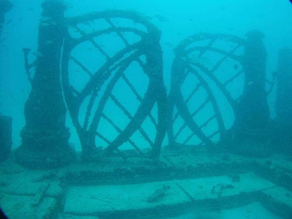 Elkman · CC BY-SA 3.0 · https://commons.wikimedia.org/wiki/File:Neptune_Reef.jpg Neptune Memorial Reef & Key Biscayne reefs, Miami / Key Biscayne
