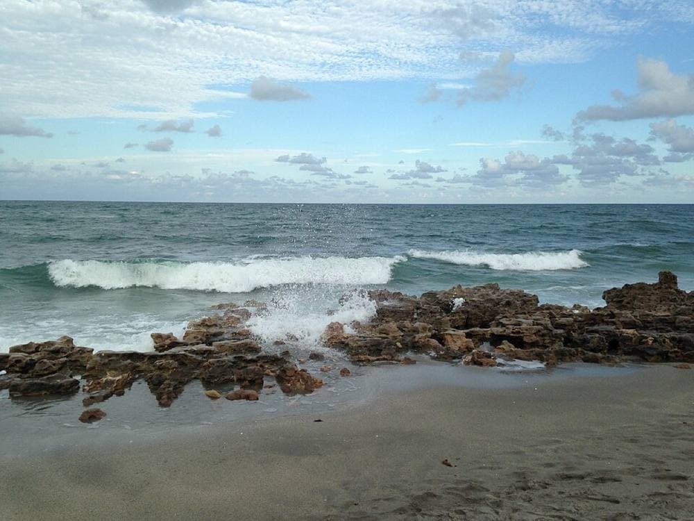 Anonymouskc · CC BY-SA 4.0 · https://commons.wikimedia.org/wiki/File:CCPbeach.jpg Ocean Reef Park & Coral Cove Park, Singer Island / Tequesta