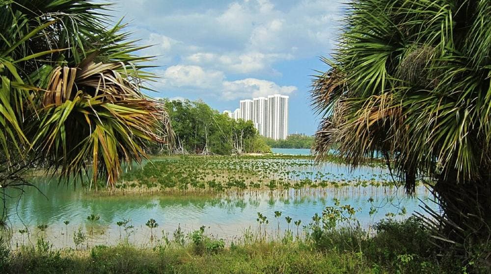 Richard Mc Neil · CC BY 3.0 · https://commons.wikimedia.org/wiki/File:Bel_effort_de_cohabitation_entre_la_nature_et_l'habitat_de_l'homme.-_Modern_style_of_life_according_with_nature_-_panoramio.jpg Oleta River State Park, North Miami Beach