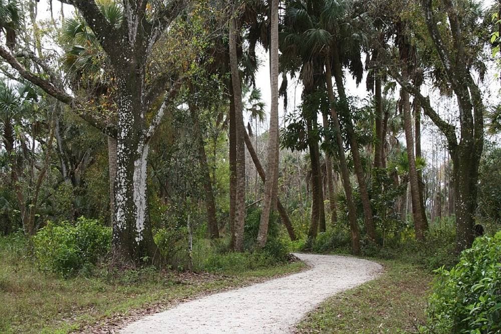 JupiterFlorida · CC BY 3.0 · https://commons.wikimedia.org/wiki/File:Riverbend_Park_-_panoramio.jpg Riverbend Park, Jupiter