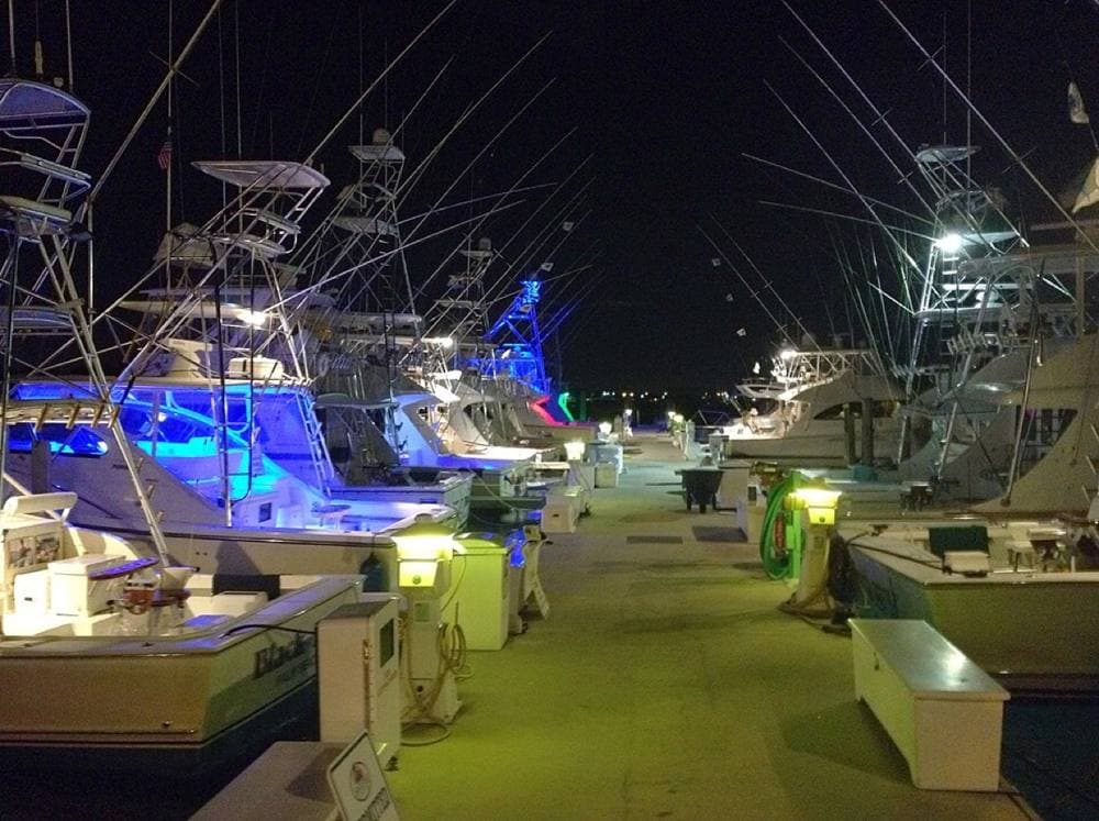 David Broad · CC BY 3.0 · https://commons.wikimedia.org/wiki/File:Sailfish_Marina_on_Singer_Island,_Lake_Worth,_West_Palm_Beach,_Florida_-_panoramio_(1).jpg Sailfish Marina, Singer Island
