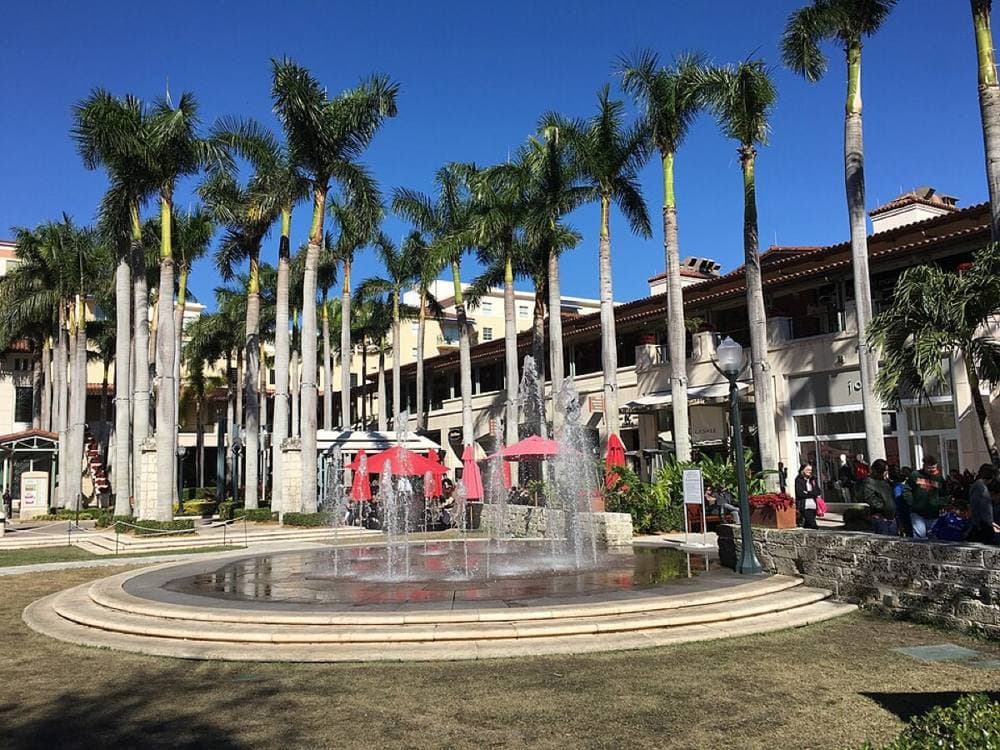 Phillip Pessar · CC BY 2.0 · https://commons.wikimedia.org/wiki/File:Shops_At_Merrick_Park_-_Fountain_and_Palms.jpg Shops at Merrick Park & Miracle Mile, Coral Gables