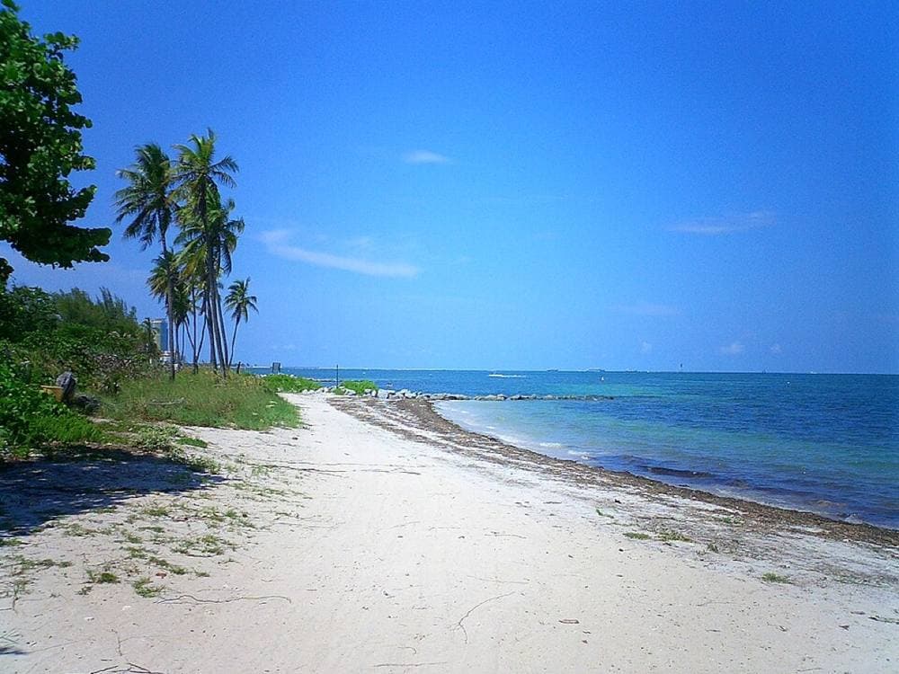 Digital photo taken by Marc Averette. · CC BY 3.0 · https://commons.wikimedia.org/wiki/File:Virginiakeybeach.jpg Virginia Key North Point trails, Rickenbacker Causeway