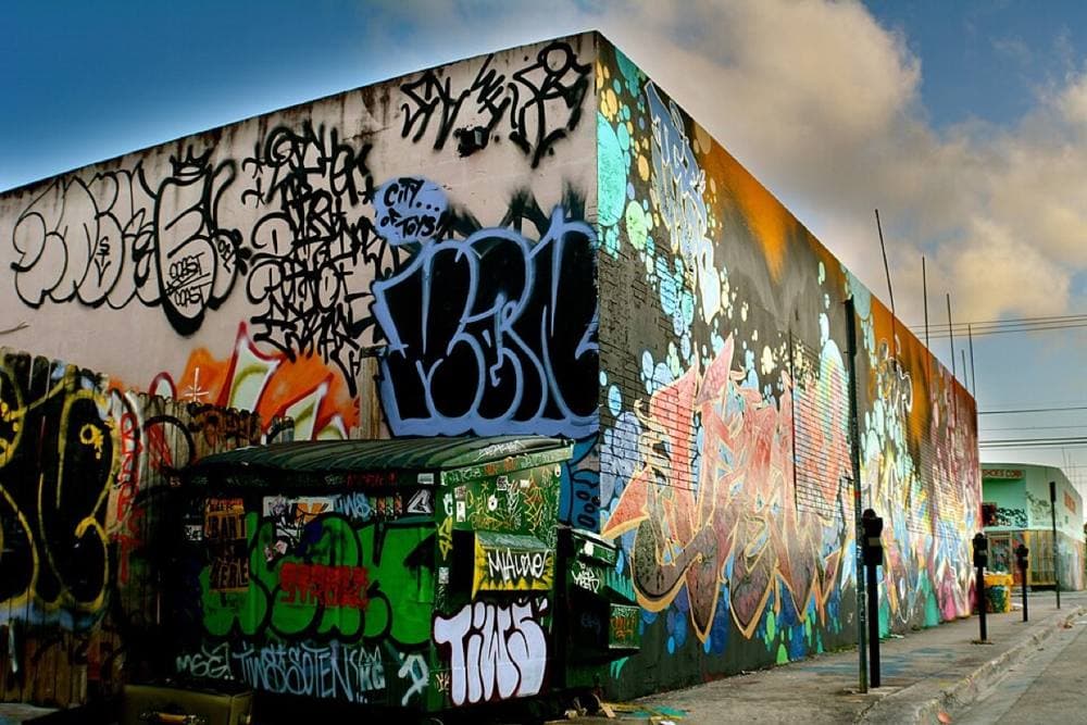 Sebastian Carlosena · CC BY-SA 3.0 · https://commons.wikimedia.org/wiki/File:Wynwood,_Miami,_FL,_USA_-_panoramio_(1).jpg Wynwood, Miami