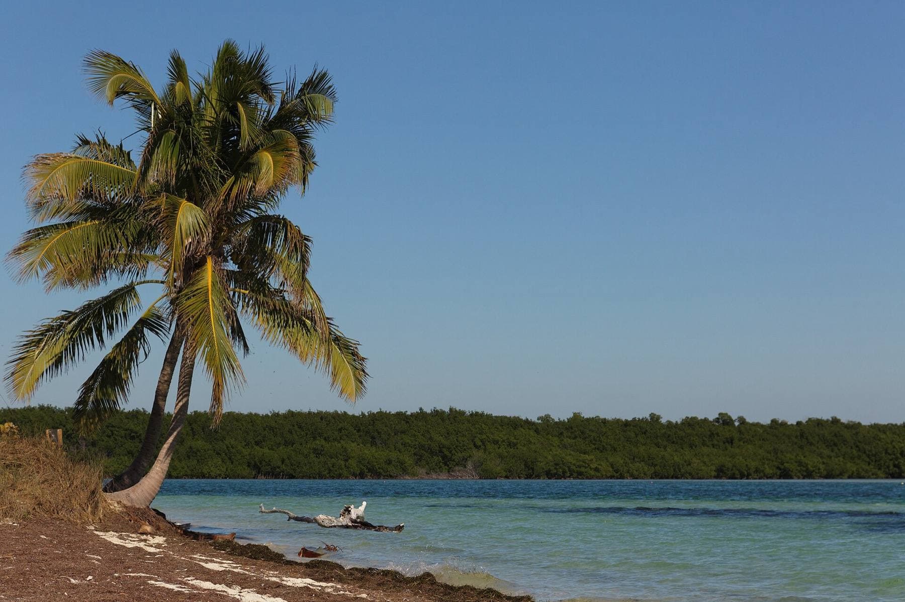 Big Pine Key, Florida