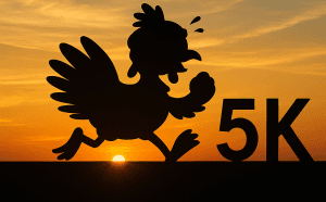 runsignup.com Hawks Cay Turkey Trot 5k Run/Walk, Marathon