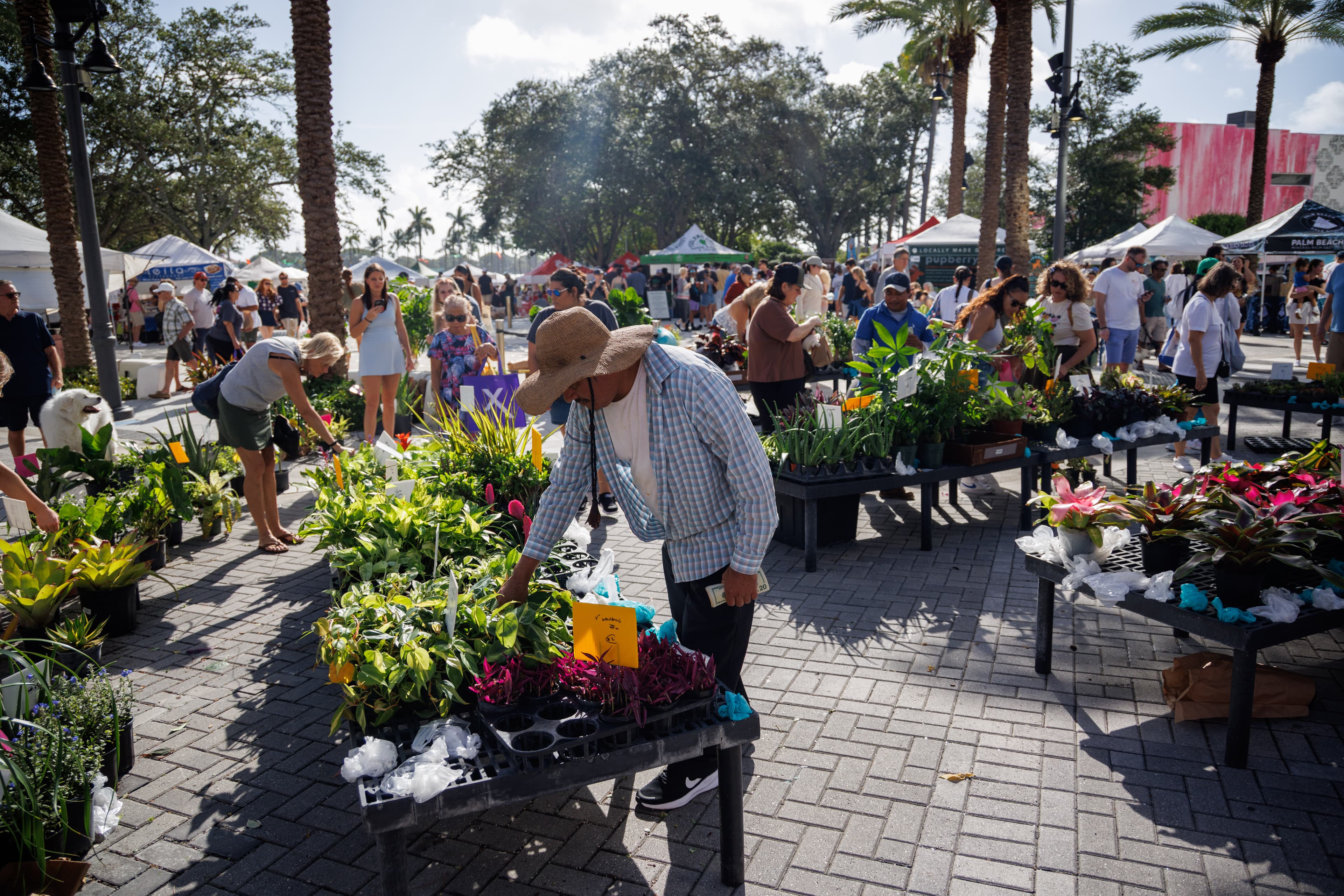 downtownwpb.com City of West Palm Beach GreenMarket, West Palm Beach